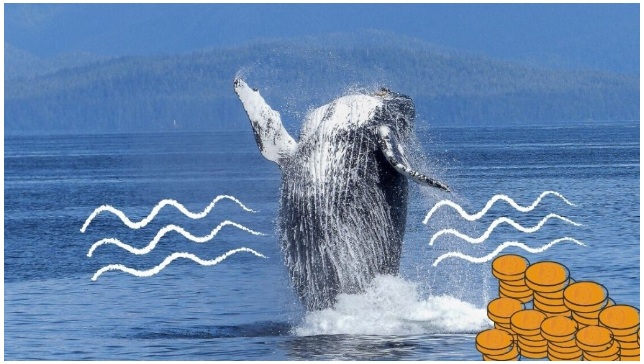 Ví Bitcoin giàu thứ 4